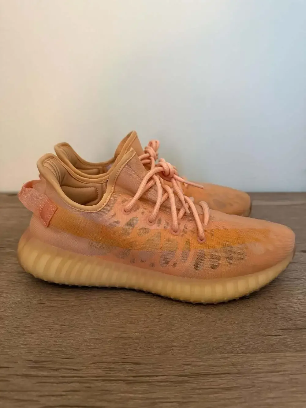 Adidas Yeezy Boost 350 V2 Mono Clay GW2870